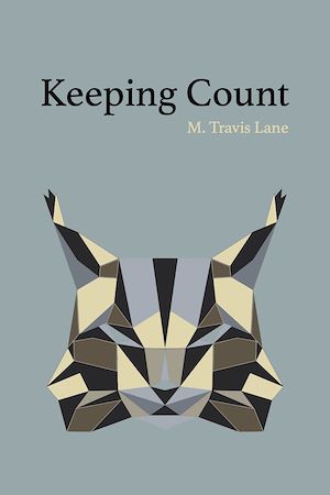 Téléchargez le livre :  Keeping Count
