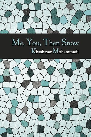 Téléchargez le livre :  Me, You, Then Snow