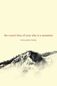 Téléchargez le livre :  the correct fury of your why is a mountain