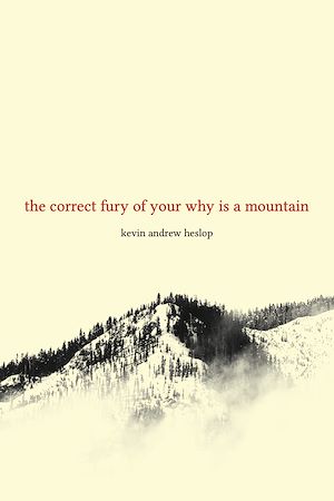 Téléchargez le livre :  the correct fury of your why is a mountain