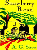 Télécharger le livre :  Strawberry Roan