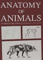 Télécharger le livre :  Anatomy of Animals: Studies in the Forms of Mammals and Birds