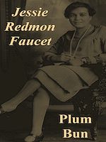 Télécharger le livre :  Plum Bun: A Novel Without a Moral