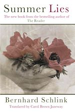 Télécharger le livre :  Summer Lies