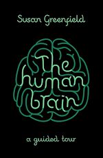 Download this eBook The Human Brain