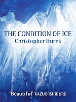 Download this eBook The Condition of Ice