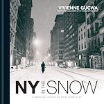 Télécharger le livre :  New York In The Snow