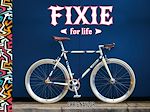 Télécharger le livre :  Fixie For Life