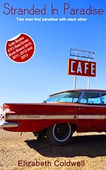 Télécharger le livre :  Stranded in Paradise