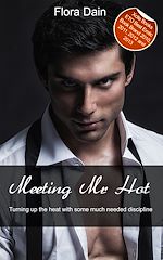 Télécharger le livre :  Meeting Mr Hot