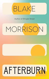 Download this ebook Afterburn