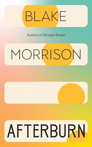 Download the eBook: Afterburn