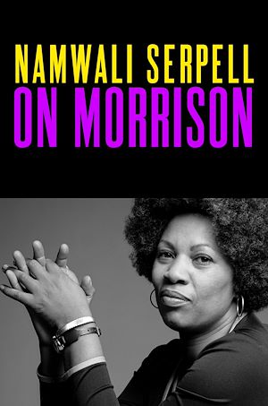 Download the eBook: On Morrison