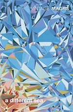 Télécharger le livre :  A Different Sea