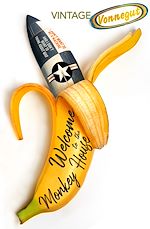 Download this eBook Welcome to the Monkey House