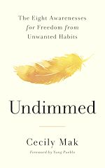 Download this eBook Undimmed