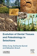 Télécharger le livre :  Evolution of Dental Tissues and Paleobiology in Selachians