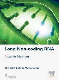 Téléchargez le livre :  Long Non-coding RNA