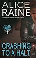 Télécharger le livre :  Crashing To A Halt