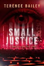 Télécharger le livre :  Small Justice
