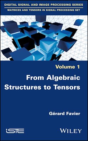 Téléchargez le livre :  From Algebraic Structures to Tensors