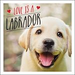 Télécharger le livre :  Love is a Labrador