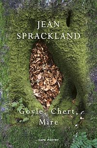 Download this ebook Goyle, Chert, Mire