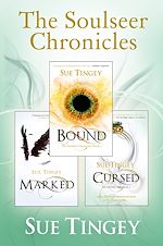 Télécharger le livre :  The Soulseer Chronicles