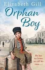 Télécharger le livre :  Orphan Boy