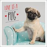 Télécharger le livre :  Love is a Pug