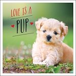 Télécharger le livre :  Love is a Pup