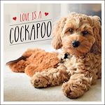 Télécharger le livre :  Love is a Cockapoo