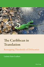 Download this eBook The Caribbean in Translation