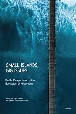 Télécharger le livre :  Small Islands, Big Issues