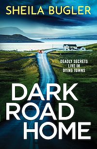 Téléchargez le livre :  Dark Road Home