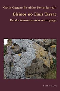 Télécharger le livre :  Elsinor no Finis Terrae