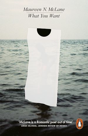 Téléchargez le livre :  What You Want