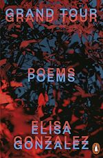 Download this eBook Grand Tour