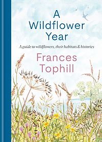 Télécharger le livre : A Wildflower Year