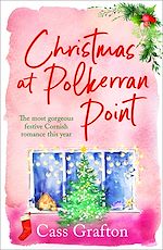 Download this eBook Christmas at Polkerran Point
