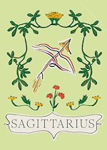 Download this eBook Sagittarius