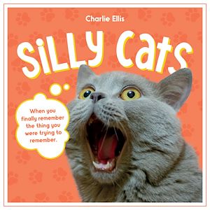 Téléchargez le livre :  Silly Cats