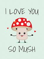 Télécharger le livre :  I Love You So Mush