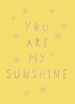 Télécharger le livre :  You Are My Sunshine