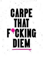 Télécharger le livre :  Carpe That F*cking Diem