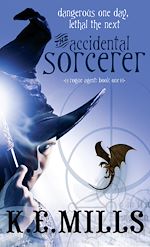 Download this eBook The Accidental Sorcerer