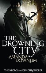 Download this eBook The Drowning City