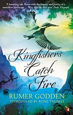 Download this eBook Kingfishers Catch Fire