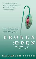 Download this eBook Broken Open