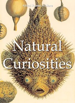 Télécharger le livre :  Natural Curiosities